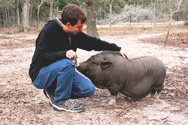 kaleb-and-isabelle-the-pig